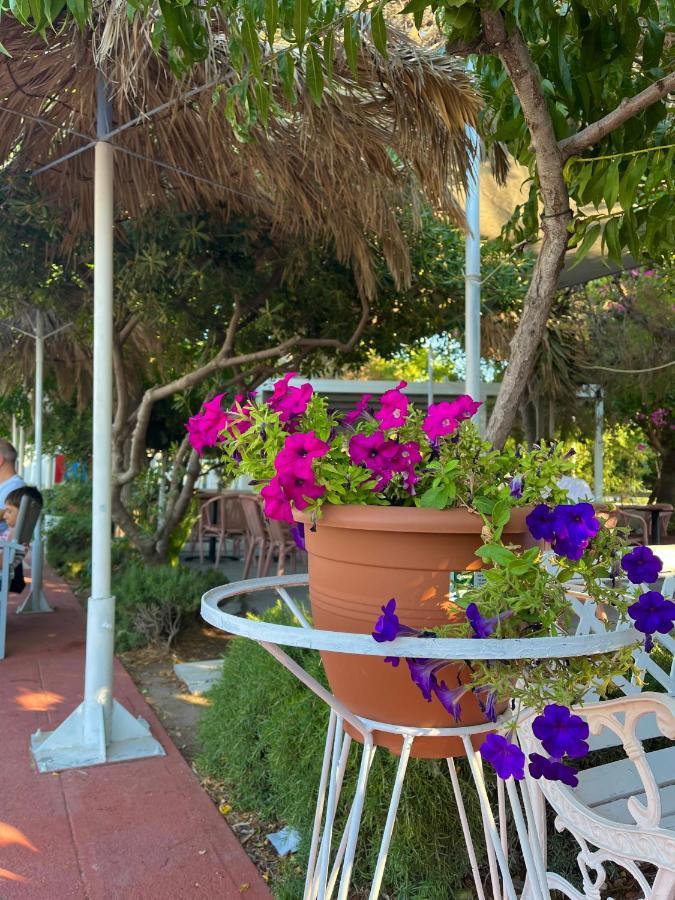 Theodorou Beach Hotel Apartments Псалиди Екстериор снимка